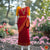 Classical Dance Jewelry RED Pre-stitched Practice Sari GOLD YELLOW Blouse | Half Saree Kalakshethra Sari | Bharatnatyam Kuchipudi Folk | Classical Dance Jewelry